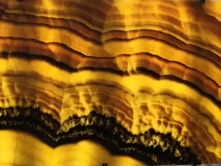 honey onyx slab price honey onyx slab price